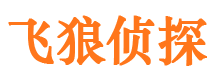 富宁侦探公司